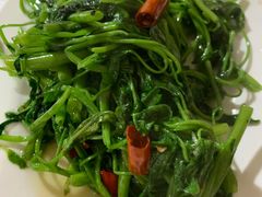 -彭大姐老店黄辣丁(新津店)