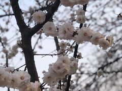 -鹫峰国家森林公园