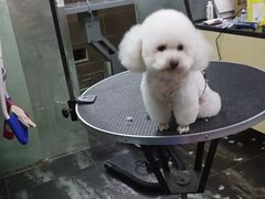 -美联众合动物医院(唯恩分院)