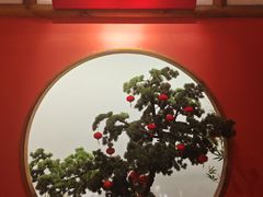 -真定郝家排骨(正定县总店)