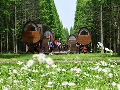 -黄海国家森林公园