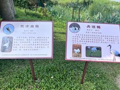 -南宁南湖公园