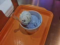 -iceason爱茜茜里·意大利健康冰淇淋(骑龙巷店)