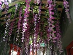 -Cocodemer 产后恢复中心(多伦路店)