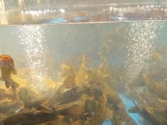 -耕渔小院·湖南鱼鲜(望城店)