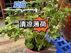 -StorHub 趣存自助仓·迷你仓(虹桥店)