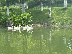 -宁波九龙湖开元度假村