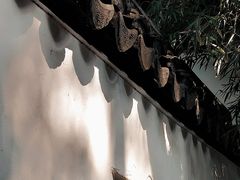-北寺塔