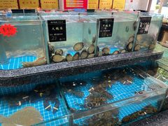 -渔码头食府(蓬莱阁店)