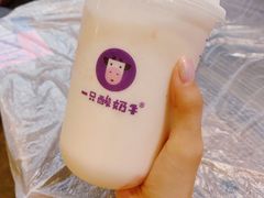 -一只酸奶牛(八一路店)