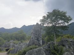 -千岛湖石林