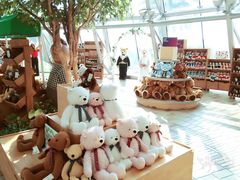 -济州岛泰迪熊博物馆