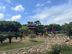 -万达广场(南宁青秀店)