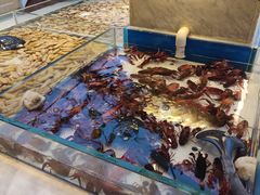 -川骄海鲜自助(河东店)