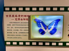 -上海昆虫博物馆