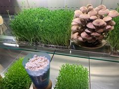 -蜀大侠火锅(四川北路店)