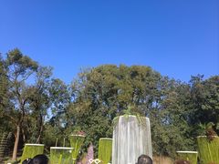 -上海共青森林公园