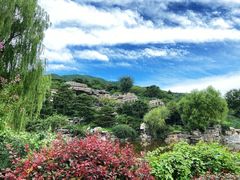 -北京西山国家森林公园