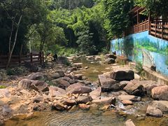 -广州白江湖森林公园