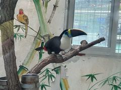 -西霞口神雕山野生动物世界