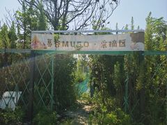 -暮谷MUGO ·团建聚会·露营烧烤·生日派对·共享菜地