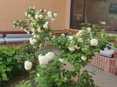 -意大利农场度假村