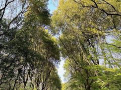 -上海吴淞炮台湾国家湿地公园