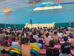 -秦皇岛乐岛海洋王国