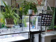 -自然之声助听器·呼吸机(公园路店)