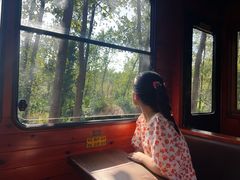 -合肥滨湖国家森林公园