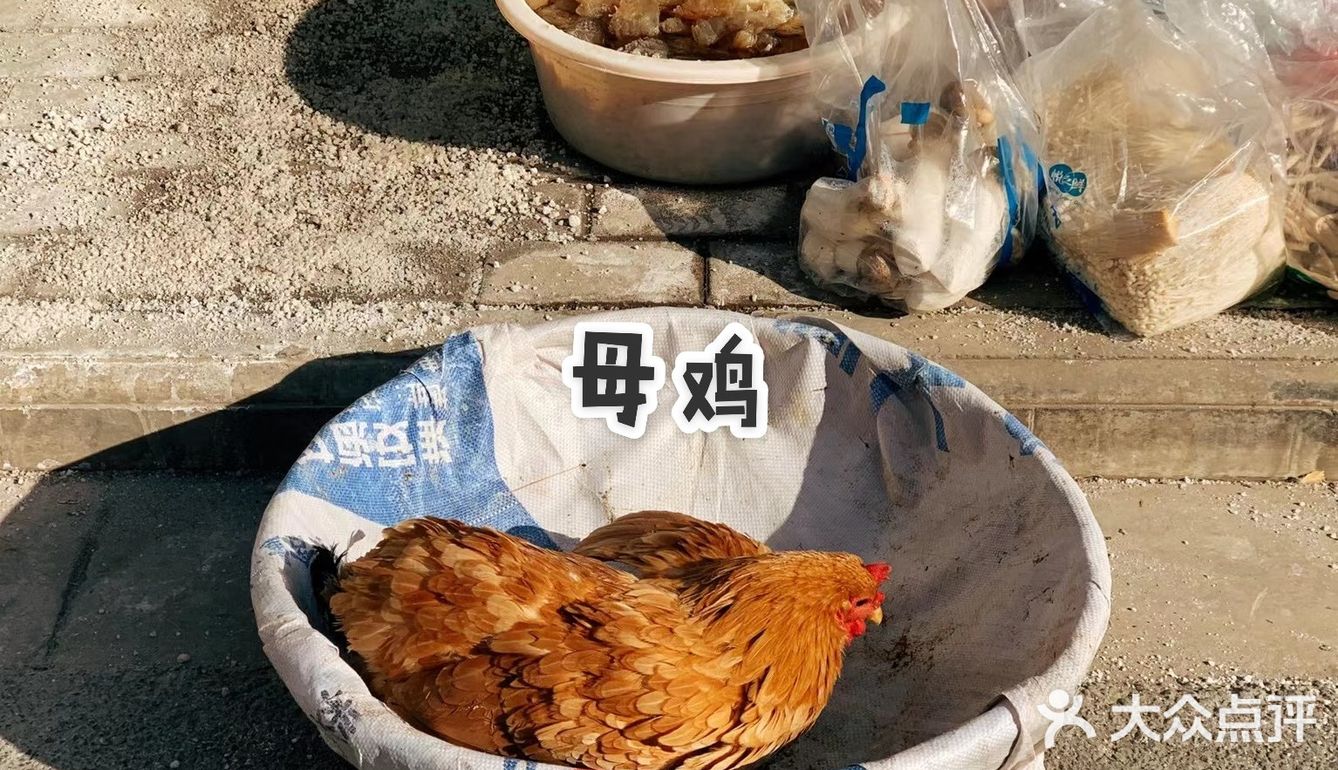 嘿，这美好的人间烟火