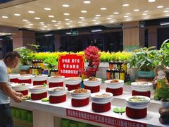 -新艺自助美食城(中山路店)