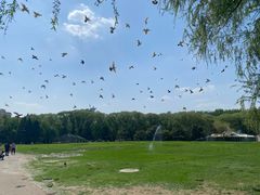 -银树楼(紫玉山庄东区店)