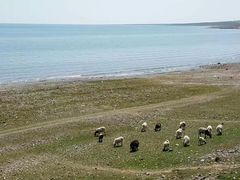 -青海湖国家重点风景名胜区