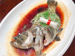 -东方御宴海鲜酒楼(棕泉酒店)