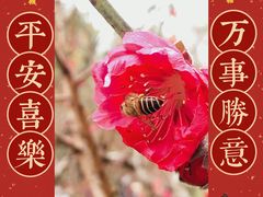 -桃花涧