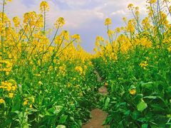 -中国天府农业博览园