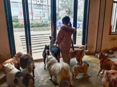 -萌喵咖啡屋(人民东路4号口M16商铺店)