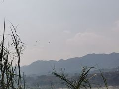-金海湾滨江公园