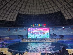 -泉城欧乐堡海洋极地世界