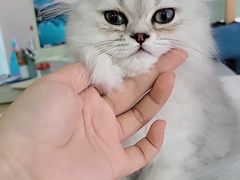 -宠颐生·恒爱宠物医院(静海店)