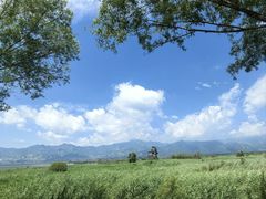 -野鸭湖国家湿地公园
