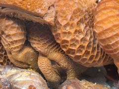 -恒盛居回族饭店