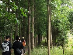 -上海长兴岛郊野公园