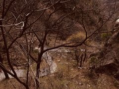 -王顺山国家森林公园