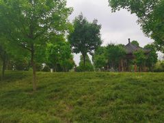 -眉山湿地公园(东坡区)