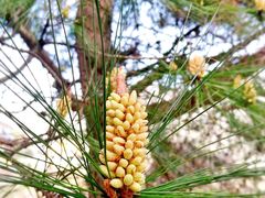 -东天目山风景区