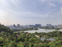 -顺峰山公园