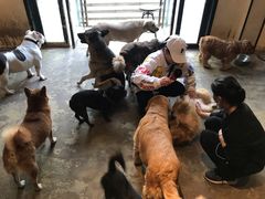 -萌喵咖啡屋(人民东路4号口M16商铺店)