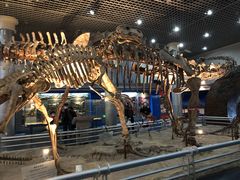 -国家自然博物馆